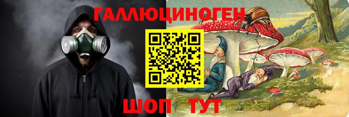 Псилоцибиновые грибы Psilocybe Елабуга