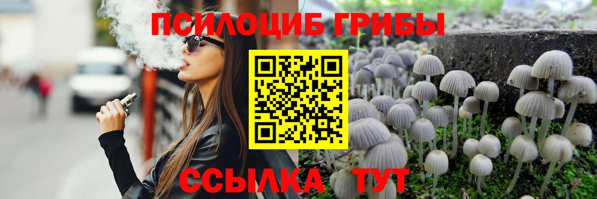 Елабуга  Галлюциногенные грибы MAGIC MUSHROOMS  Вход с VPN 